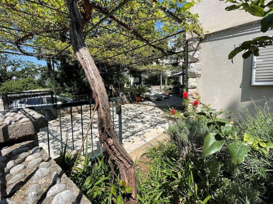 Apartment Nono Moj Dubrovnik Exteriör bild